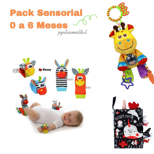 Pack estimulación  Básico 0 a 6 Meses