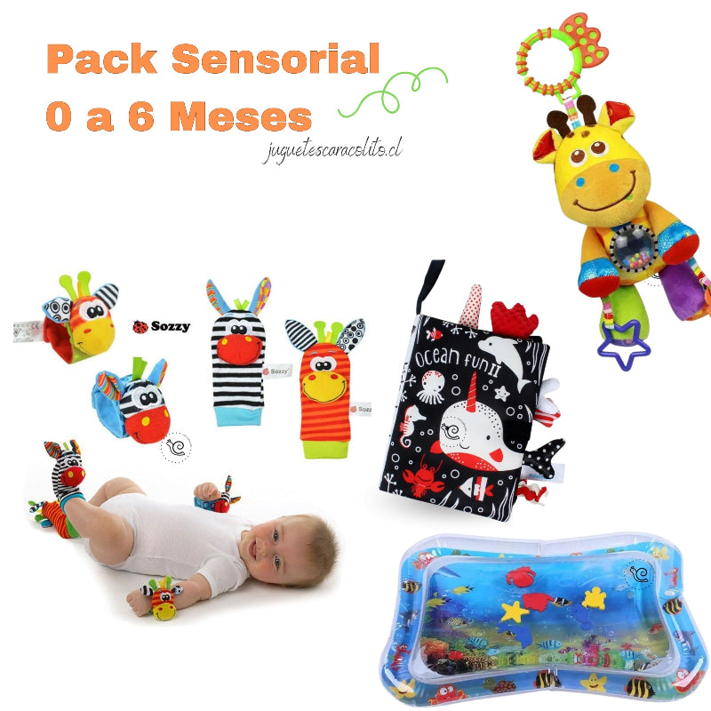 Pack estimulación  Premium 0 a 6 Meses